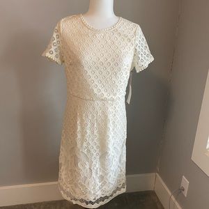 New with tags Dex Cream Lace Brocade Dress